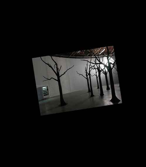 image_cellar_door
