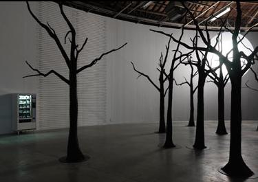 image de l'expo cellar door